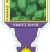 Basil Sweet