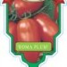 Tomato Roma Plum