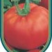 Tomato Rutgers select